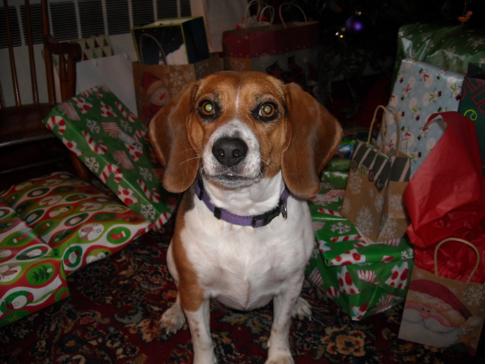 [Winter+2008+231.jpg]