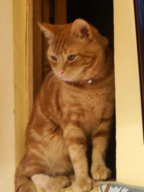 [gr_68197_1046262_873449.jpg]