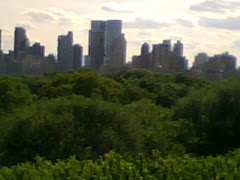 Above the Treeline