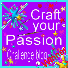 Craft You Passion winner