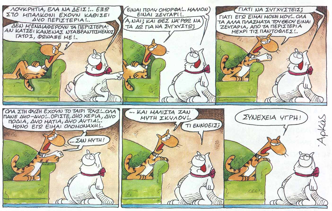 arkas1.jpg
