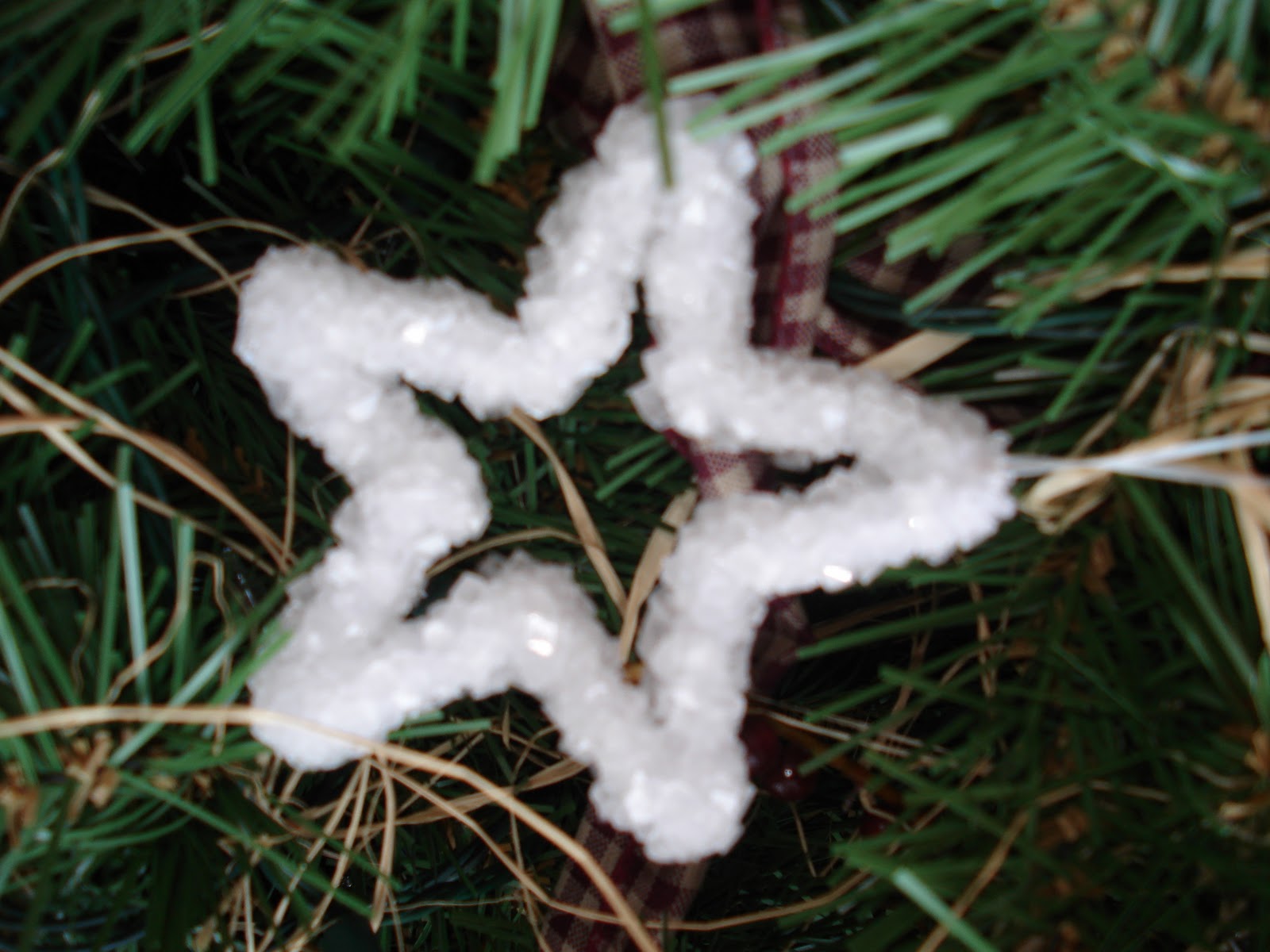 Borax "Crystal" Ornaments - RKO Ideas Galore by Karen