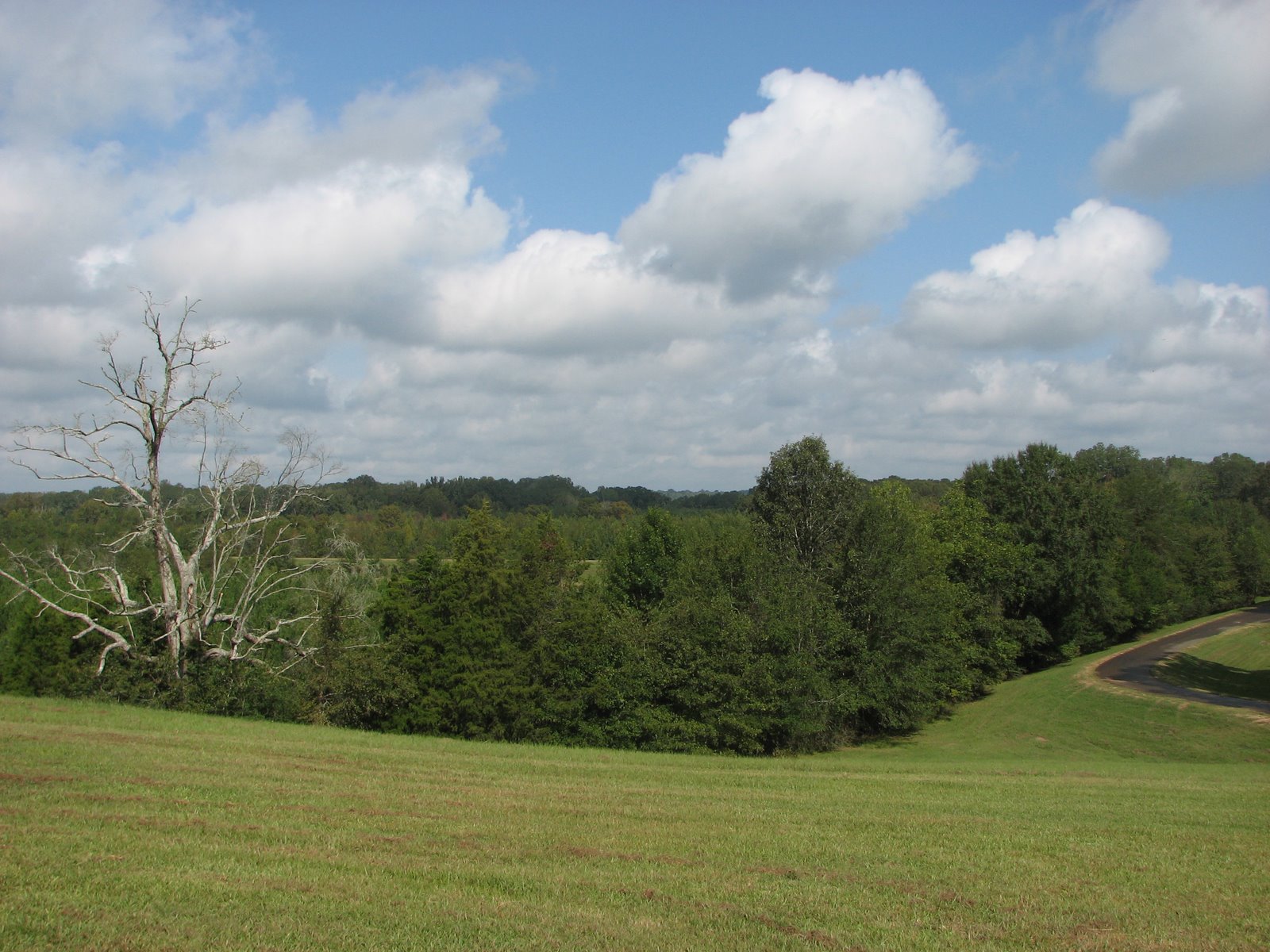 [top+of+magnum+mound.JPG]