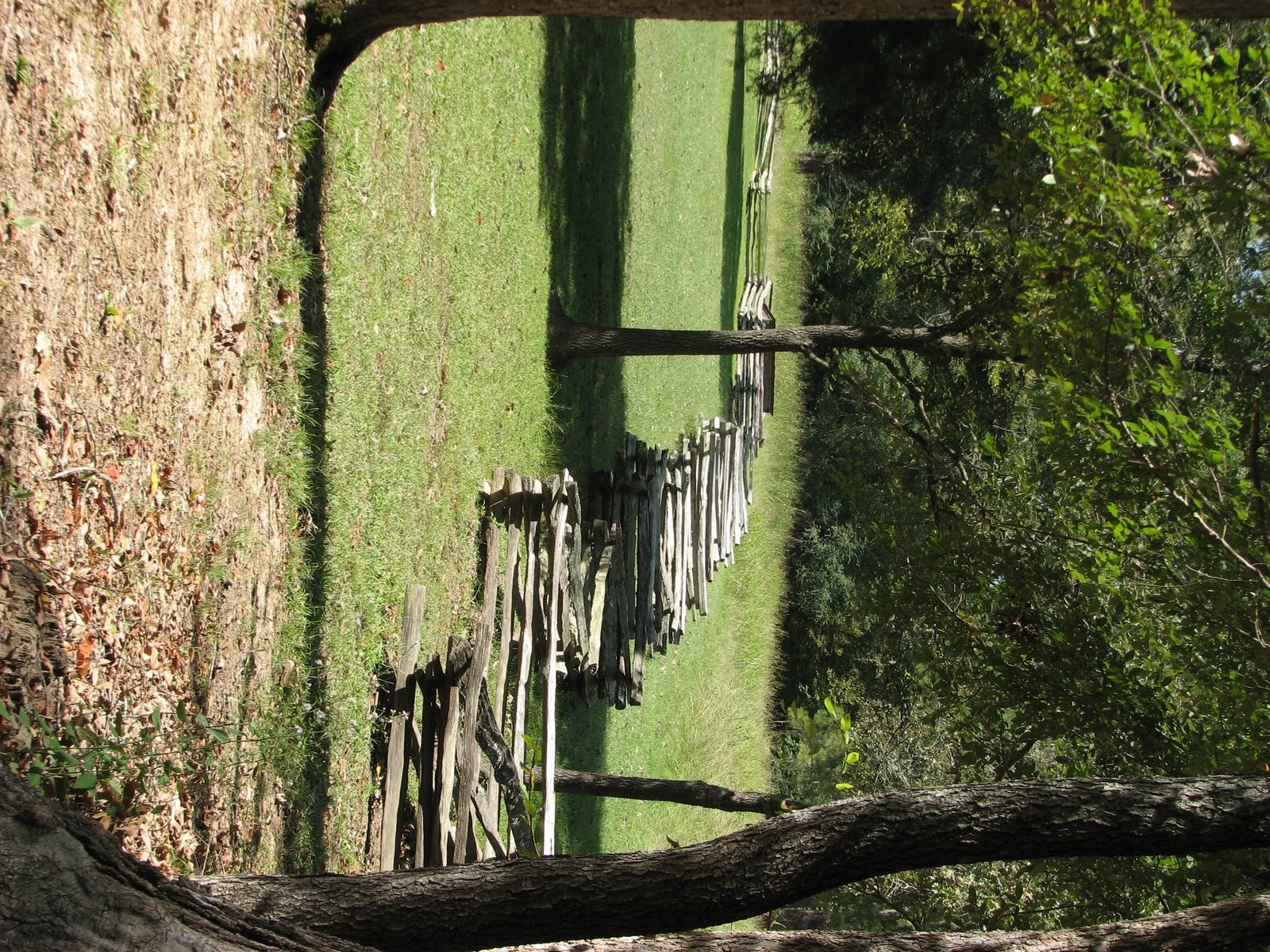 [split+rail+fence.JPG]