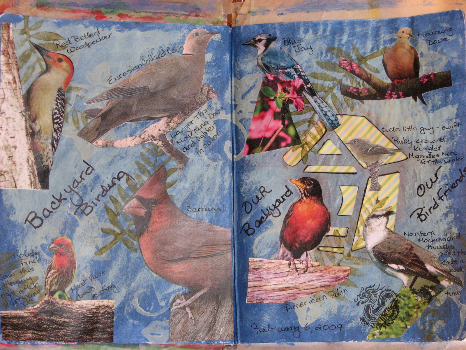 [Backyard+Birding.JPG]