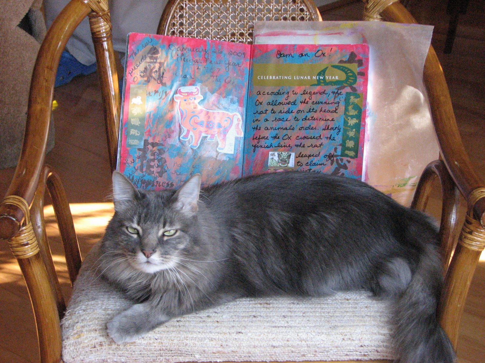 [Teddy+&+Journal.JPG]