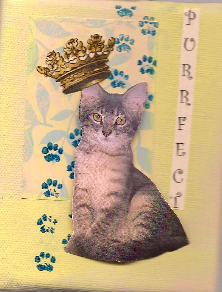 [Purrfect.jpg]
