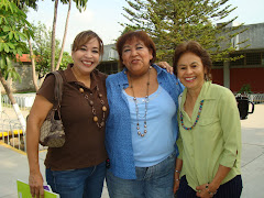 Compañeras