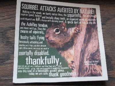 evil squirrel of death