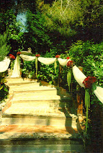 Ceremony Aisle at the Inn of the Seventh Ray