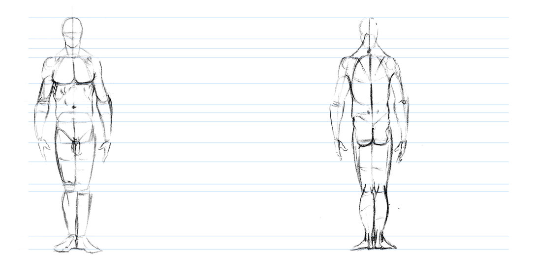 соотношение частей тела человека для рисования. схема рисования человека. создать формы человека. пропорции тела человека для рисования для начинающих. рисование фигуры.