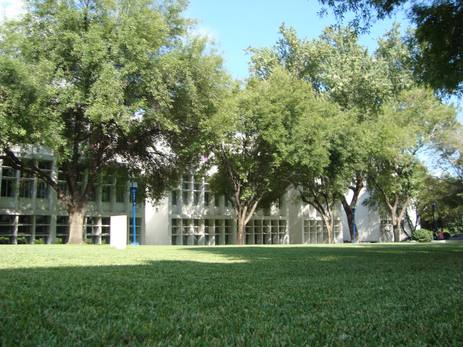 The True Colors of Life