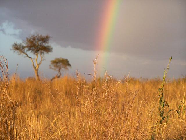 Masai, Masai Mara, Africa, Kenya, Rainbow, African rainbow, Kenyan Rainbow, Kenyan grasslands, Masai landscape