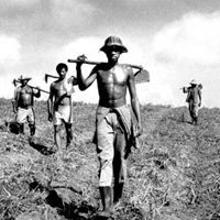 [myposting_15366.jpg]