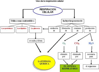 Datos personales