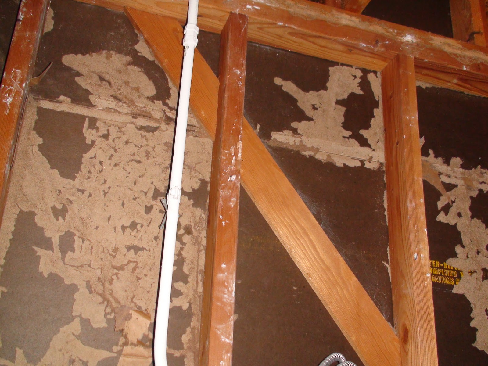 Assassin Exterminating & Pest Control " Always Hire A Professional