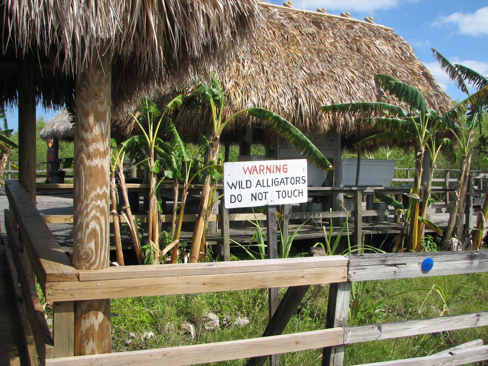 Small Travels and Musings Everglades, Miccosukee Reservation and Big