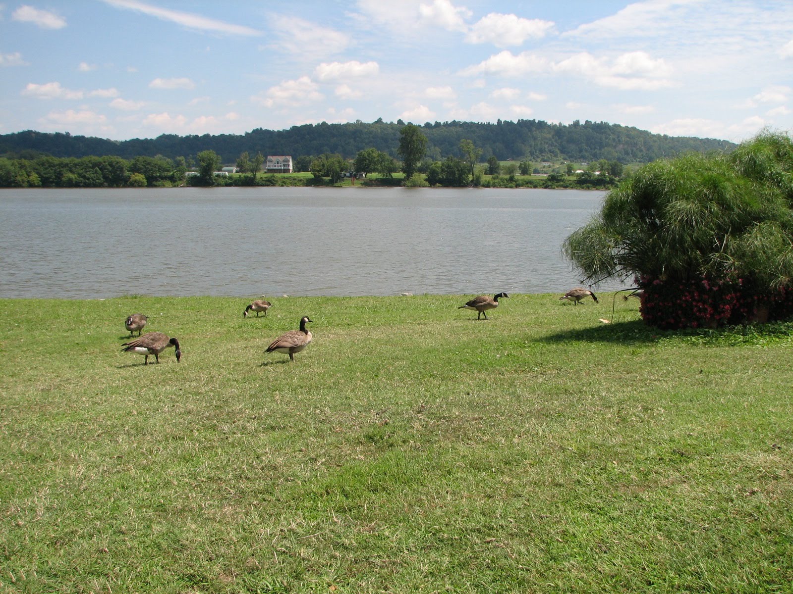Small Travels and Musings Gallipolis, Ohio