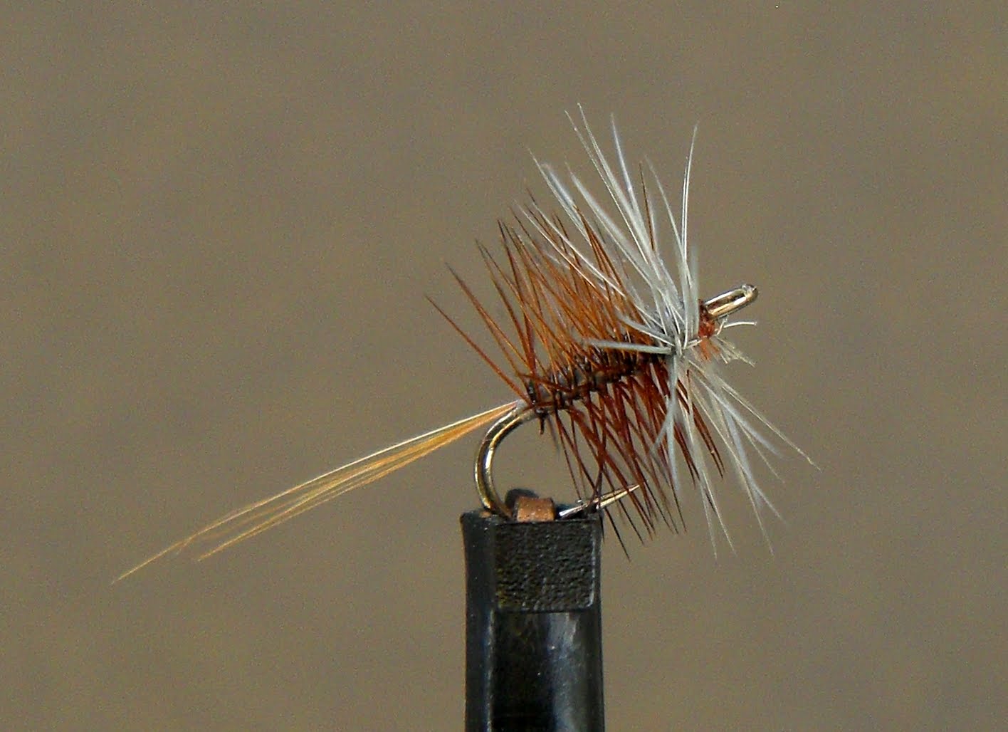 Small Fly Funk: AK Best's Spent Caddis