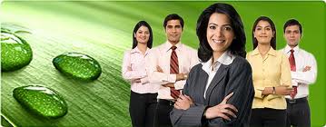 Web Designing Training