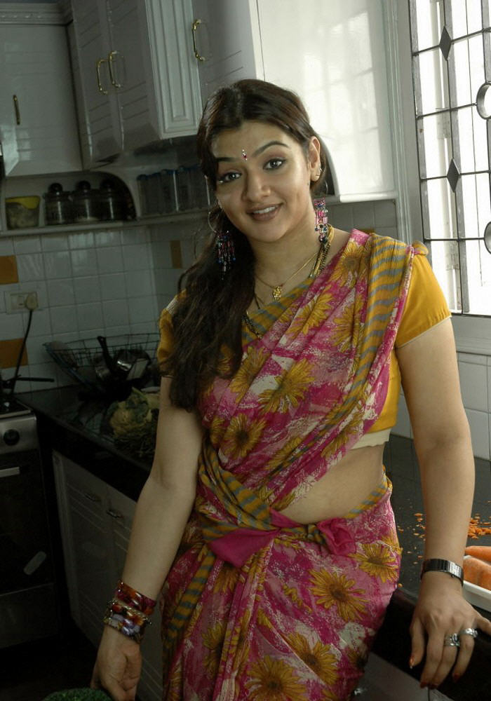 Aarthi Agarwal Hot In Yellow Saree Hot Indian Actress Photos
