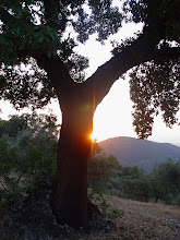 en la soledad
