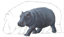 Hippopotamus creutzburgi by Alexos Vlachos