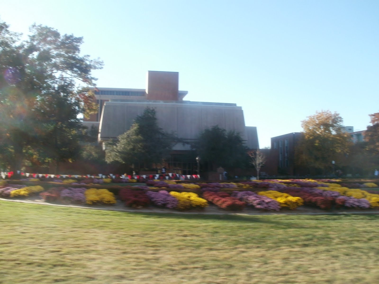 DBO: Norman 365: Day 40 - OU Campus Series - Dale Hall
