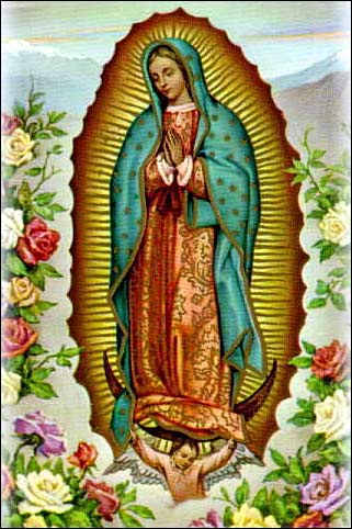 [guadalupeflores.jpg]