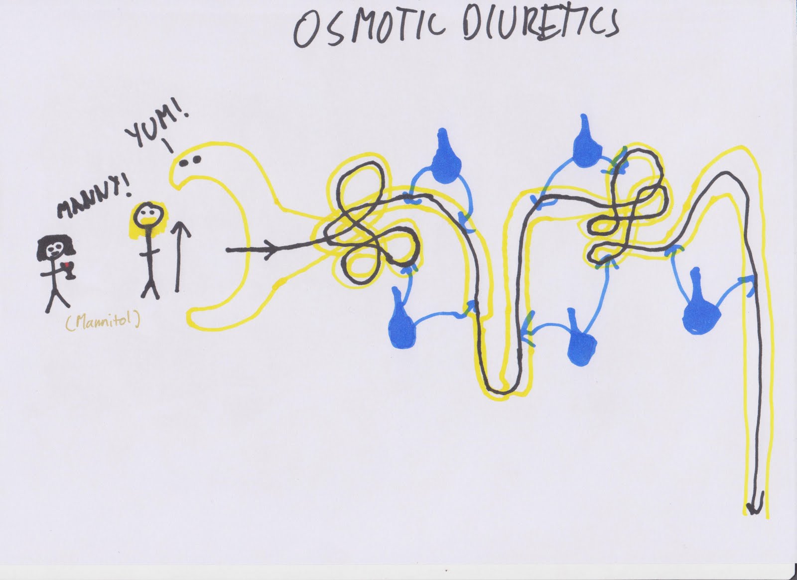 Order coumadin online