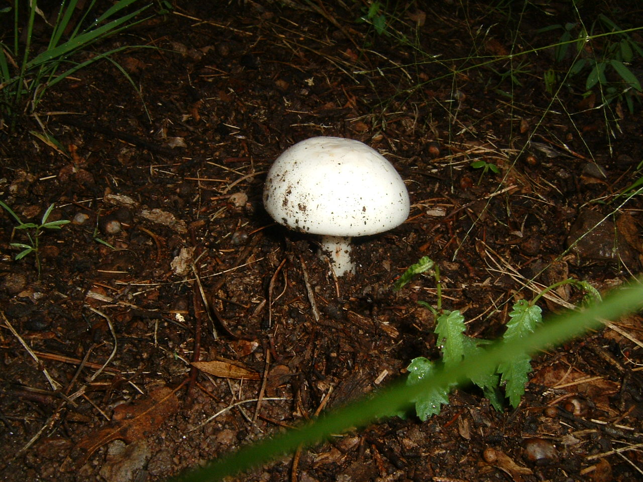 [DSCF0002.JPG]