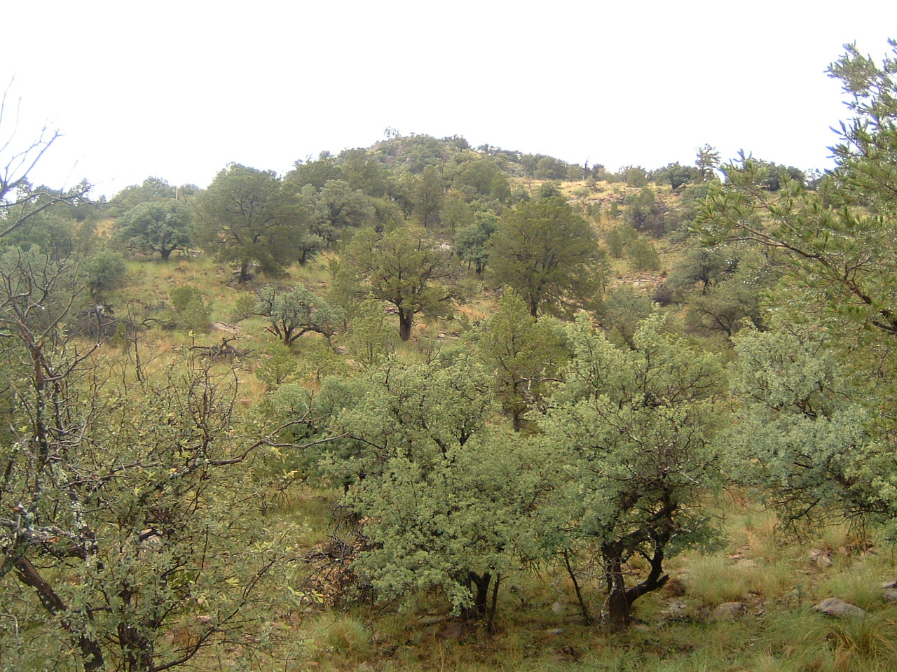 [DSCF0022.JPG]