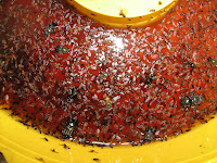 Κίτρινες οικολογικές παγίδες για βλαβερά έντομα