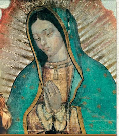 Sitio Oficial de La Virgen de Guadalupe