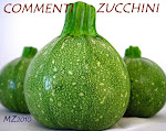 Lasciare un commento nel Mondo Zucchino