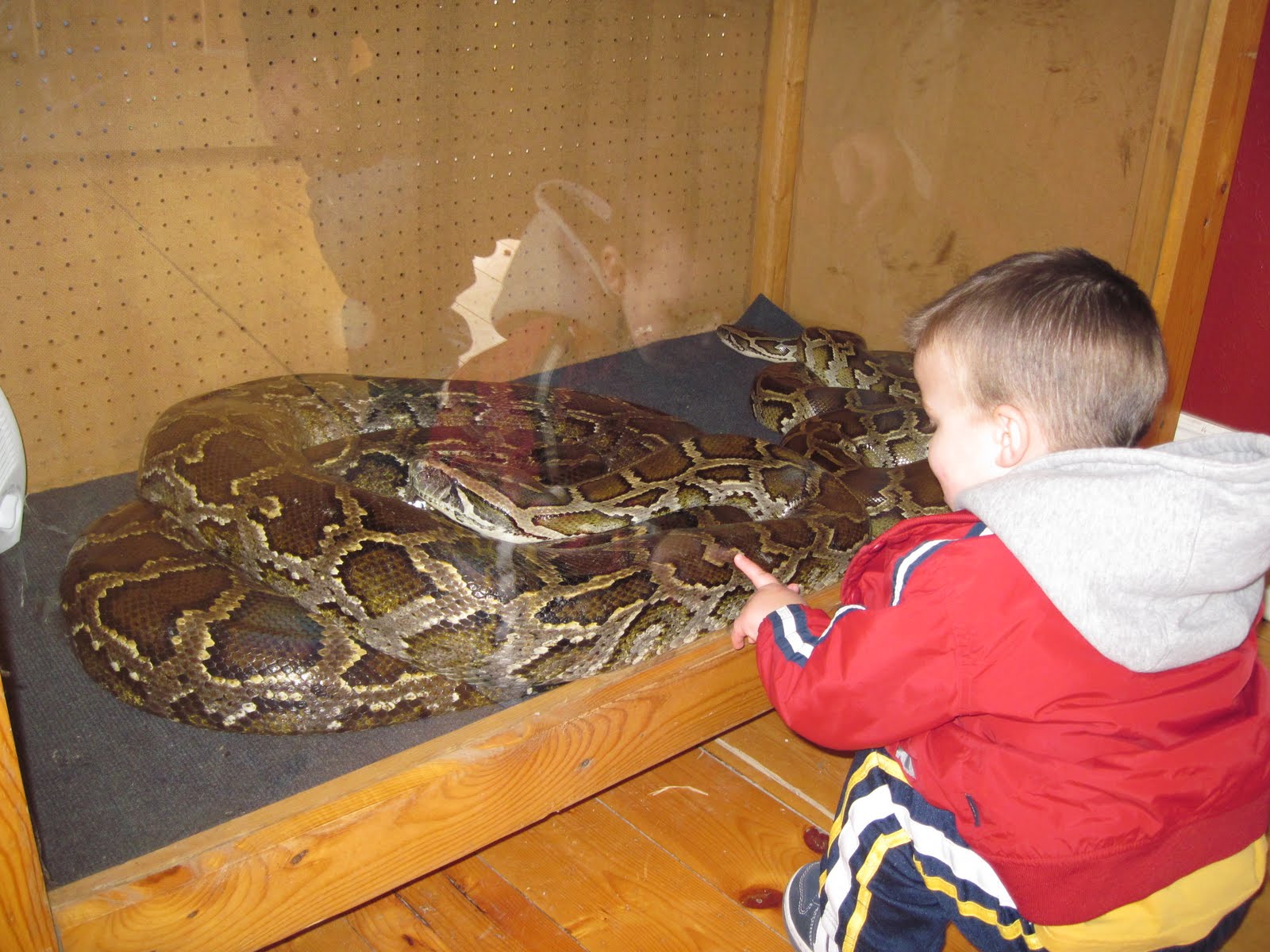 KATY, ROB, KADEN, AND CARSON: Baby Animal Days in Logan