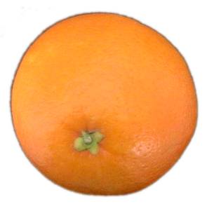 [Orange-fruit-2.jpg]