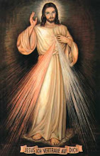 jesus als beschützer und führer