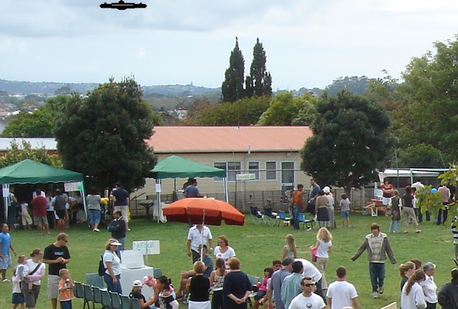 A ufo at the great gladstone gala