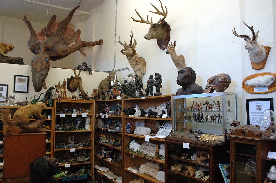 Музей в гранд каньоне бестиарий