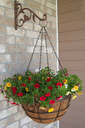 My front porch basket