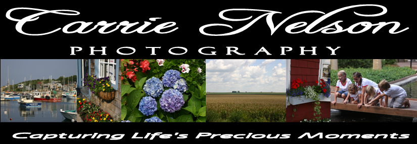 Carrie Nelson Photography