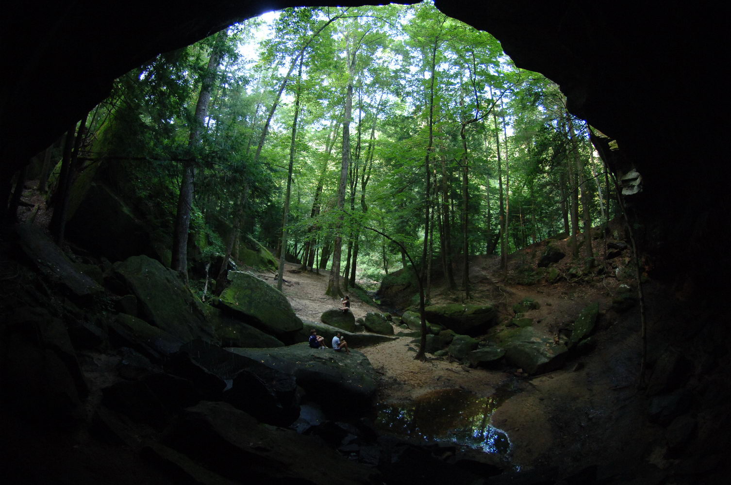 OnLocation Photography Sipsey Wilderness