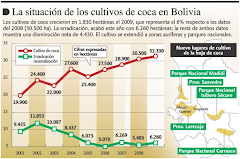 la producción de hojas de coca está por encima de las 32.500 hectáreas