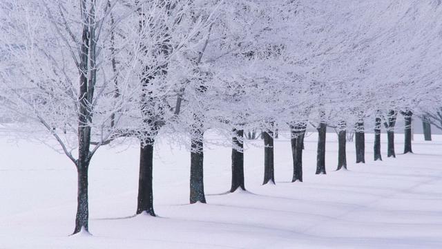 [winter-scenes-desktop-wallpaper.jpg]