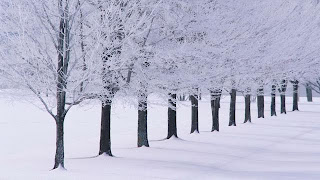 Winter Scenes Desktop Wallpaper