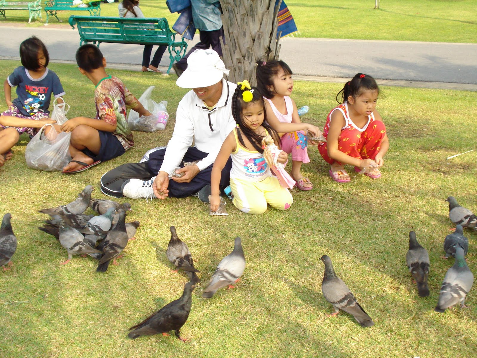 My Beloved Family Feeding the Birds