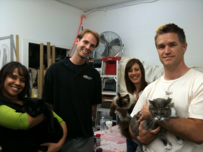 HOLLYWOOD PAWS Hollywood Paws cats wrap filming a TV pilot in a cat sized apartment!