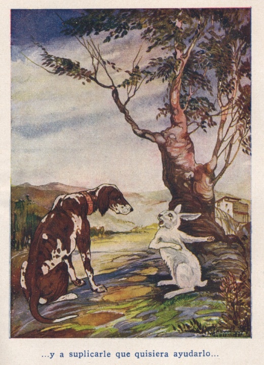 [cuentos+pot+ilust.jpg]