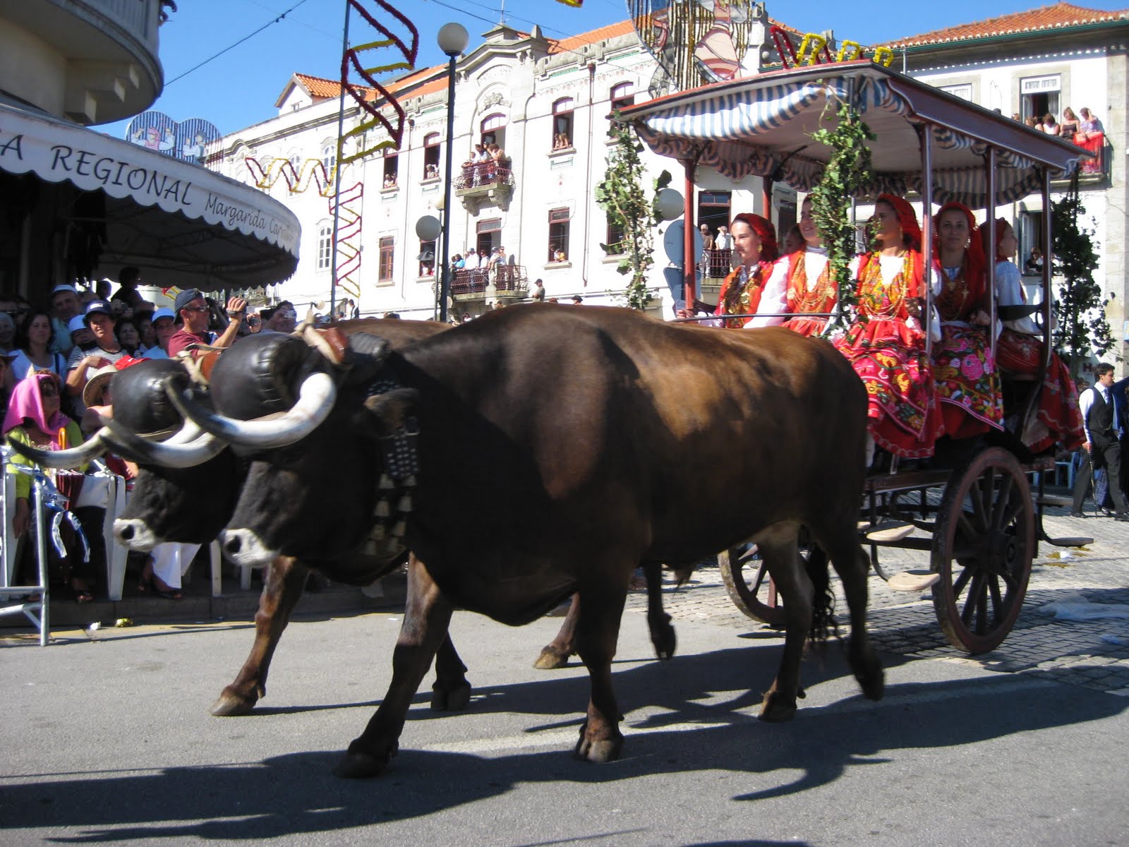 [Festas_SªAgonia_2008-29.jpg]